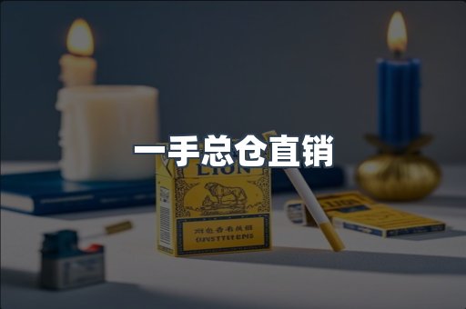 一手总仓直销